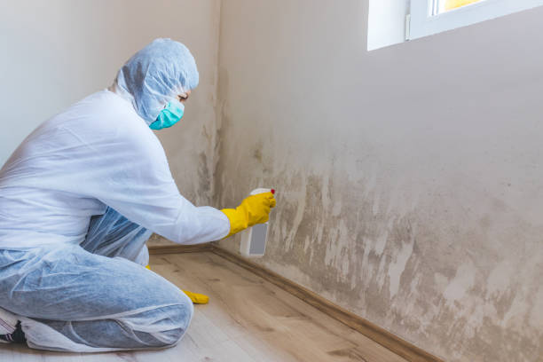 Licensed Crawl Space Mold Removal service in Mountain Lakes, NJ - WQB Mold Removal