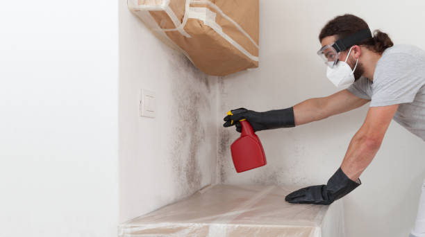 Professional Crawl Space Mold Removal technician working in Mountain Lakes, NJ