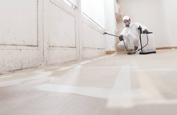 24/7 Emergency Crawl Space Mold Removal experts in Mountain Lakes, NJ
