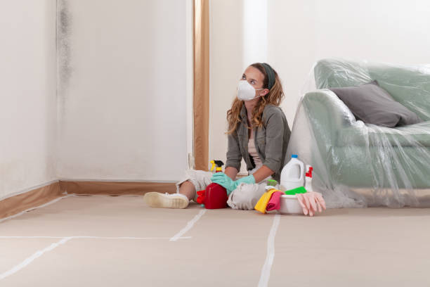 Reliable Crawl Space Mold Removal contractor in Mountain Lakes, NJ by WQB Mold Removal